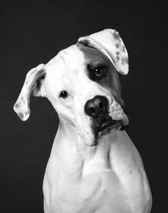 Fundraising Page: Dolly Lee